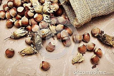 Hazelnuts spilled on the table from a canvas bag close-up Stock Photo