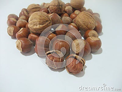 Hazelnuts and walnuts. Stock Photo