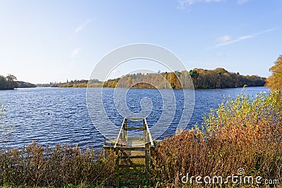 Hazy autumn day beside a tree lined lake Stock Photo