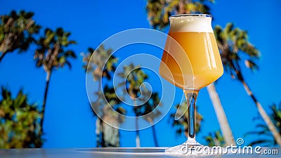 Hazy IPA Craft Beer in Teku Glass with Tropical Palm Trees and Blue Sky Stock Photo