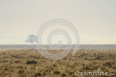 Hazy morning in the Hortobagy National Park, Hungary Stock Photo