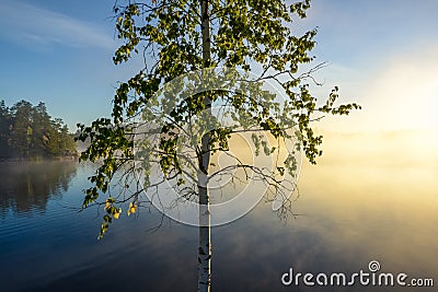 Hazy morning by the lake Stock Photo