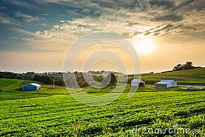 Hazy summer sunset over farm fields in rural York County, Pennsylvania. Stock Photo