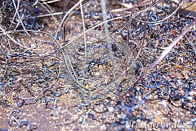 Close up of a pile of metal screws, close up of a pile of metal, metal background Stock Photo