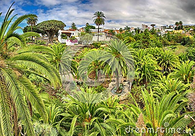 HDR panorama of Parque del Drago in Icod de los Vinos - Tenerife Stock Photo