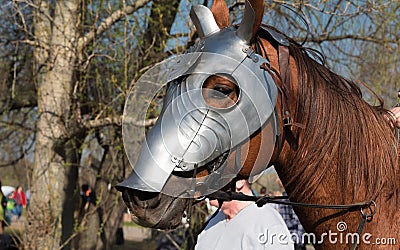 Head of Armored Warhorse in profile wearing chanfron on it`s muzzle Stock Photo