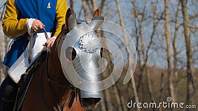 Head of Armored Warhorse in profile wearing chanfron on it`s muzzle and medieval knight without head on horseback Stock Photo