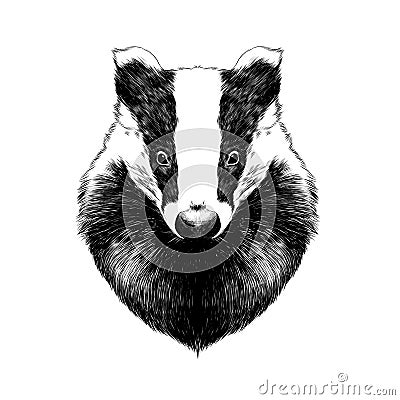 Head badger Stock Photo