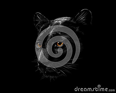 Head of a black panther Vector Illustration