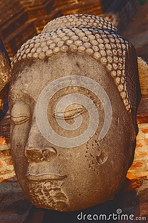 Head of Buddha, Ayutthaya, Thailand Stock Photo