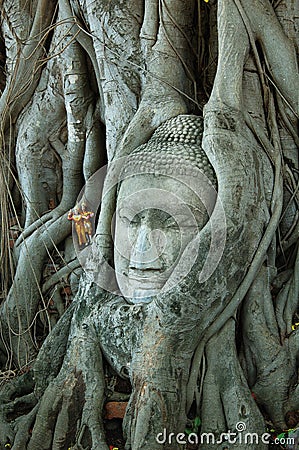 Head of Buddha image 2 Stock Photo