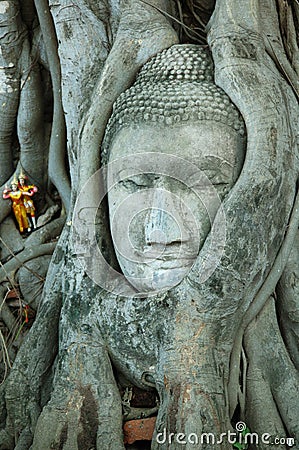 Head of Buddha image Stock Photo