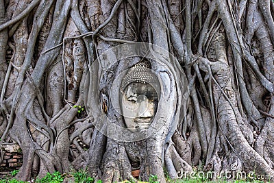 Head of Buddha statue in root of bodhi tree at Wat Mahathat in Ayutthaya Thailand Stock Photo