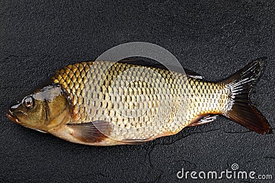 Head carp fish on the surface dark stone. Stock Photo
