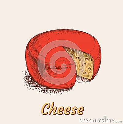 Head of Cheese Hand Drawn Vector Illustration Vector Illustration