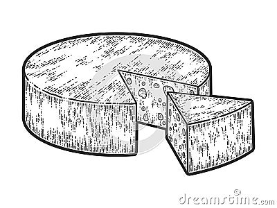 Head of cheese sliced. Sketch scratch board imitation. Black and white. Vector Illustration