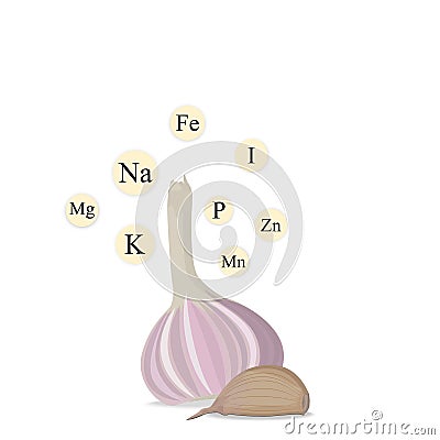 A head and a clove of garlic with vitamins. Isolated object Stock Photo