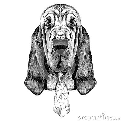 The head of the dog breed Bloodhound vector Vector Illustration