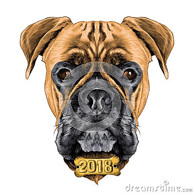 The head of the dog breed boxer dog collar Vector Illustration