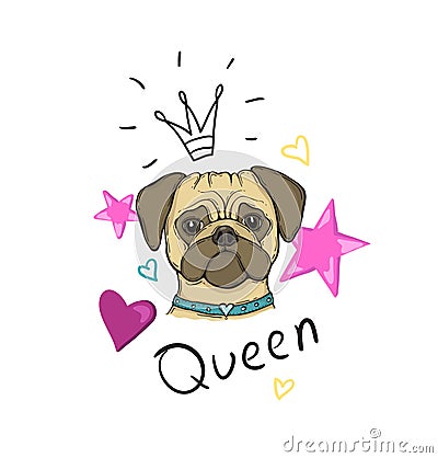 Head Dog pug, hand-painted, portrait. With the inscription Queen, star crown and heart. Vector Illustration