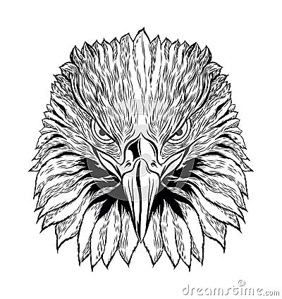 Head of Eagle Black and White, Front View Eagle Head, Vector Illustration Vector Illustration