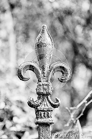 Head of a fence spike in the shape of Fleur De Lis Stock Photo