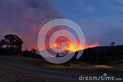 Head of the fire Stock Photo