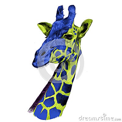 The head of a giraffe sketch Vector Illustration