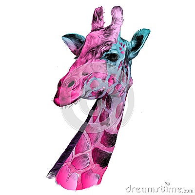 The head of a giraffe sketch Vector Illustration