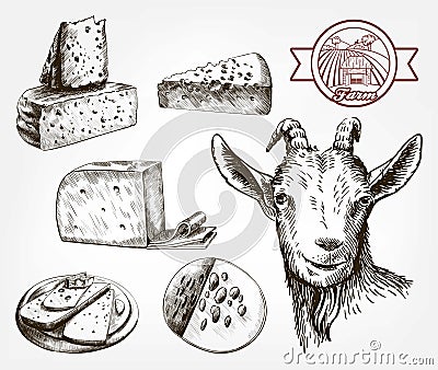Head of a goat. Goat cheese. Set of sketches on a gray Vector Illustration