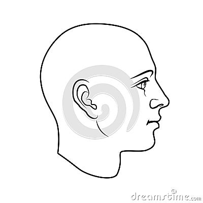 Human head in side view, outline variant Vector Illustration