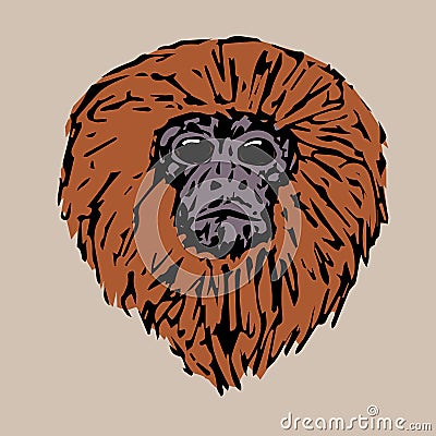 Head handsome tamarin Vector Illustration