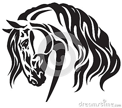 Head of heavy draft horse Vector Illustration