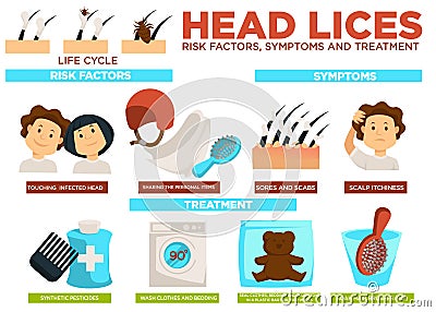 Head lice risk factors symptoms and treatment poster vector Vector Illustration