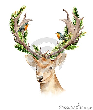 The head of a male deer with horns and woven branches of a tree. Isolated background. Boho template to design posters Stock Photo