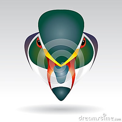 Head of Mandarin Duck Vector Illustration