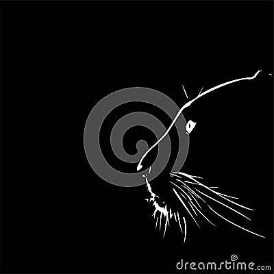 The head of a panther in white on a black background Stock Photo