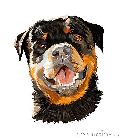 Head portrait of Rottweiler, German dog breed from multicolored paints. Colored drawing Vector Illustration