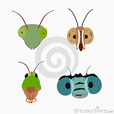 The head of a praying mantis, butterflies, dragonflies and grasshoppers Vector Illustration