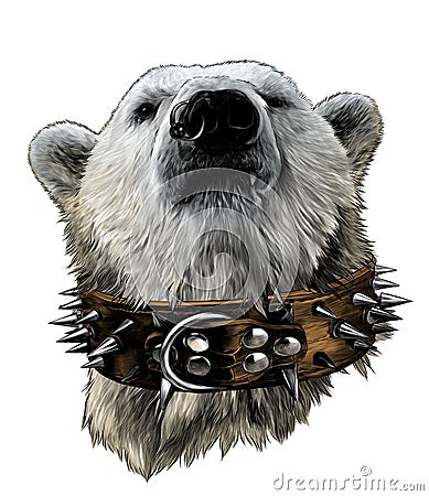 The head of a proud bear looking confidently forward in a leather collar with metal spikes and an earring in the nose Vector Illustration