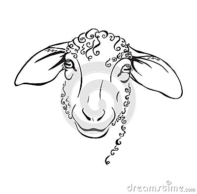 Head sheep black and white illustration Vector Illustration