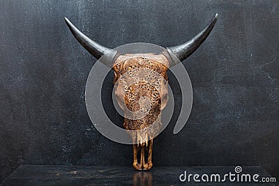 Head skull of bull on the background textured Stock Photo