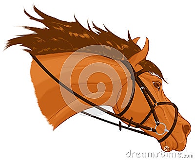 A head of sorrel horse in bridle. Vector Illustration
