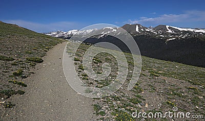 Ute Trail Stock Photo