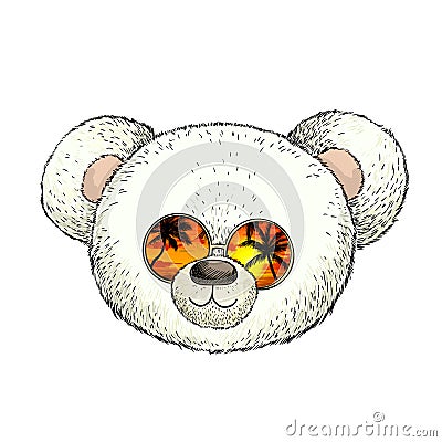 Head of white plush teddy bear in sunglasses Vector Illustration