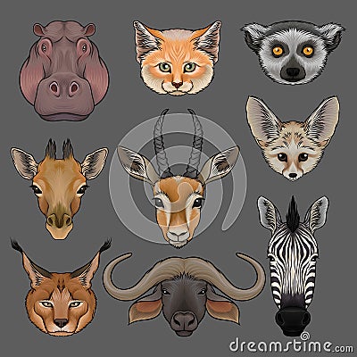 Head of wild animals set, portrait of hippo, lynx, fox, fenech, lemur, giraffe, antelope, muskox and zebra hand drawn Vector Illustration