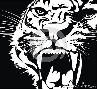 Head of wild cat Vector Illustration