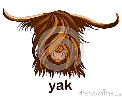 The head of a Yak with long hair. Vector Illustration