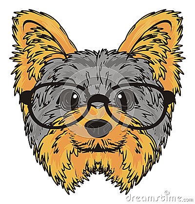 Head of yorkie in black glasses Stock Photo