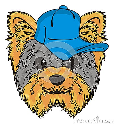 Head of yorkie in cap Stock Photo